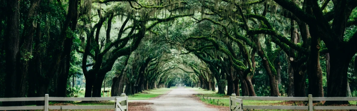 Exploring the Best Road Trips from Baxley, GA: A Comprehensive Guide